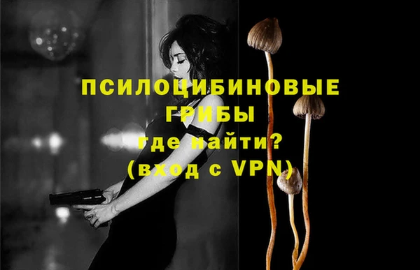 apvp Беломорск