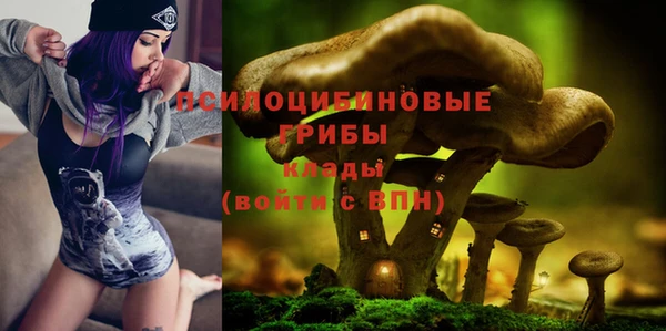 амф Белокуриха