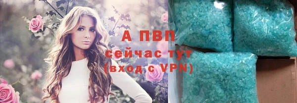 амф Белокуриха