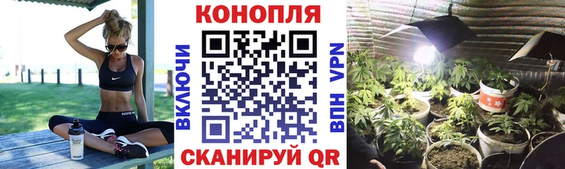 Купить закладки  Курчалой  Канабис марихуана 